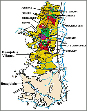 beaujolais-grand-cru-wines-are-great-values-ken-s-wine-guide-blog